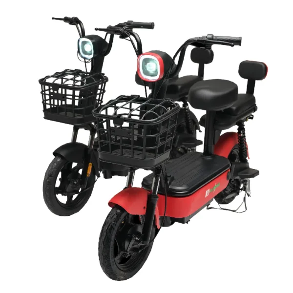 Evee Flipper Electric Bike 2024